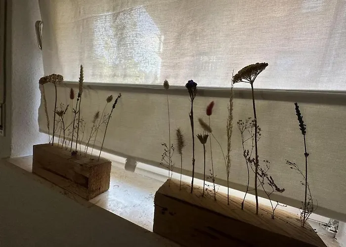 Stammecke Lägenhet Winterberg